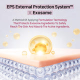 APLB - Exosome Collagen Ex Cream