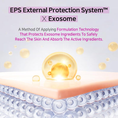 APLB - Exosome Vitamin C EX Cream