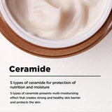 Ma:nyo - Factory Bifida Biome Concentrate Cream